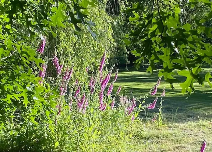 Appartement Calme Et élégant à La Campagne